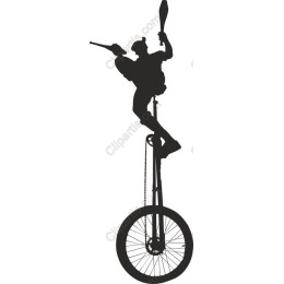 Dynamic Unicyclist