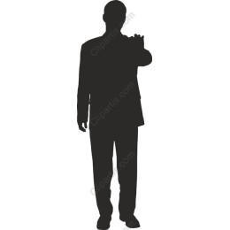 Professional Male