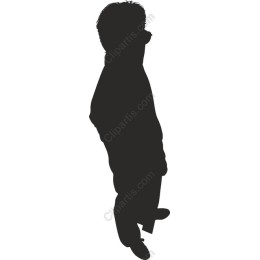 Elegant Human