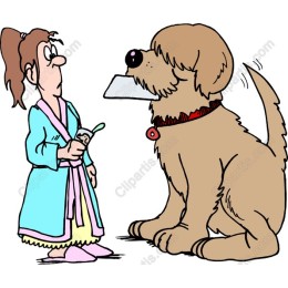 Playful Dog and Owner