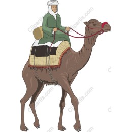 Traditional Camel Rider