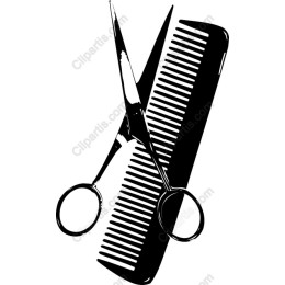 Hairdressing Scissors and Comb