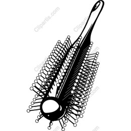 Stylish Hairbrush