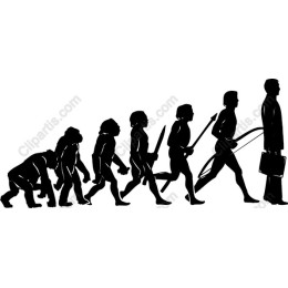 Human Evolution