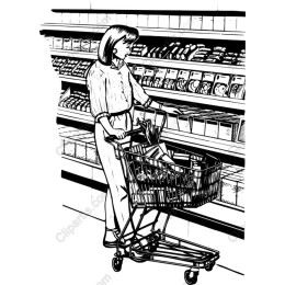 Grocery Store Shopper
