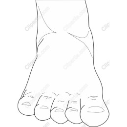 Minimalist Foot