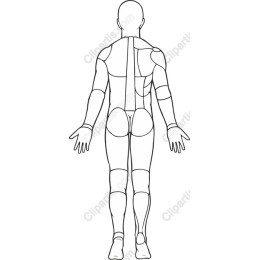 Back View Male Figure