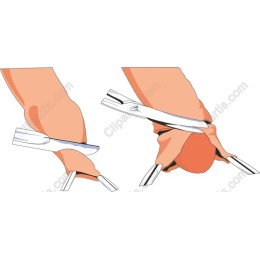 Hands Holding Tools