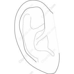 Minimalist Ear