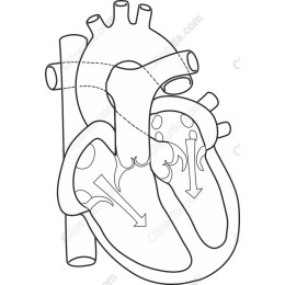 Intricate Heart