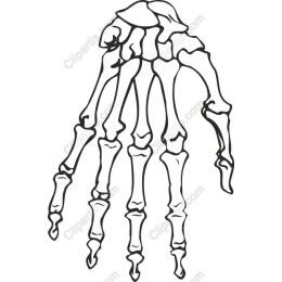 Skeleton Hand