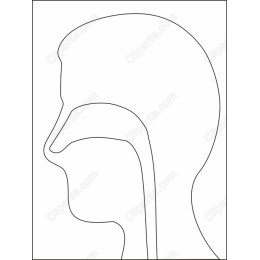 Human Head Profile Line Art