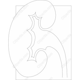Elegant Abstract