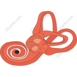 Whimsical Sea Creature