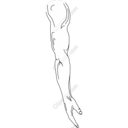 Minimalist Human Arm