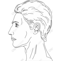 Elegant Profile Line Art