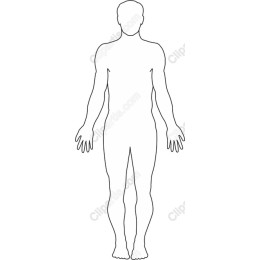 Human Figure Outline