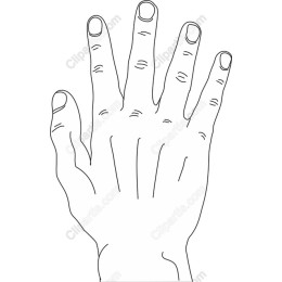 Minimalist Hand