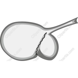Elegant Spoon - Perfect for Culinary