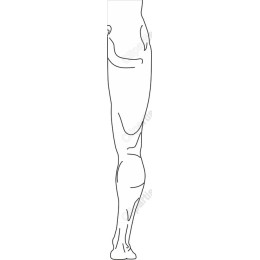 Minimalist Human Leg