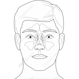 Human Nasal Anatomy Educational