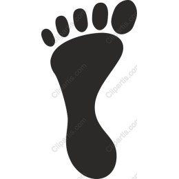 Foot