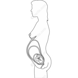 Pregnancy Line Art