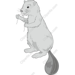 Cheerful Beaver