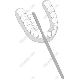 Dental Hygiene with Toothbrush