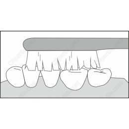 Toothbrush and Teeth Dental Hygiene