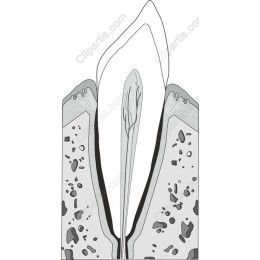 Nature-Inspired Plant