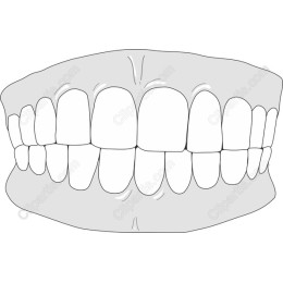 Aligned Teeth