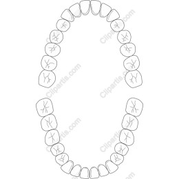 Oval Tooth Arrangement