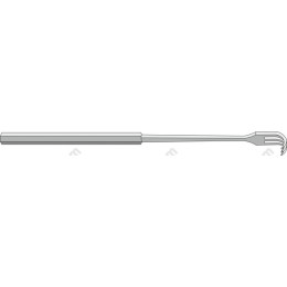 Stainless Steel Fork