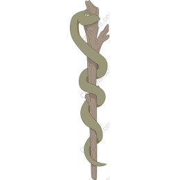 Snake Staff