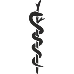 Caduceus Medical Symbol