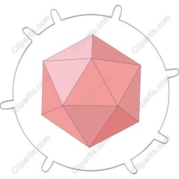 Elegant Pink Dodecahedron