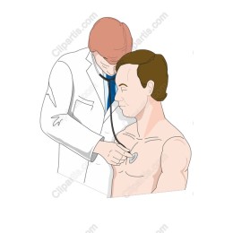 Doctor Patient Examination