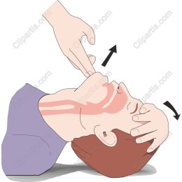 Airway Management Techniques