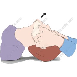 Therapeutic Neck Stretch