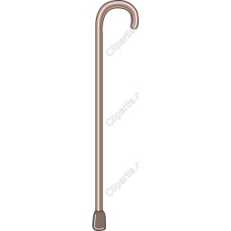 Elegant Walking Cane