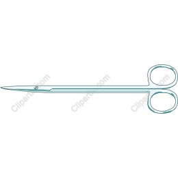 Precision Scissors