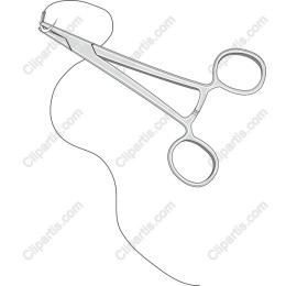 Surgical Scissors