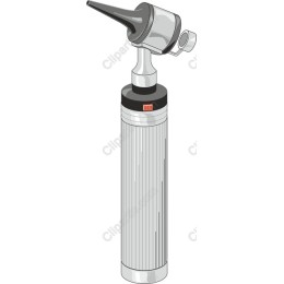 Professional Torch
