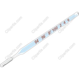 Vintage Mercury Thermometer