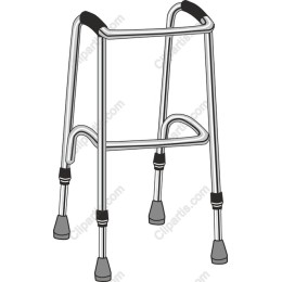 Stylish Walker