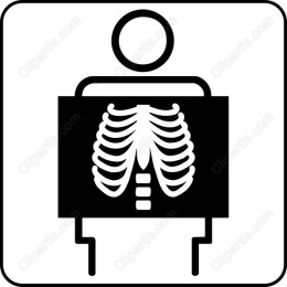 Human Skeleton X-Ray