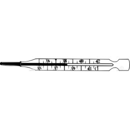 Traditional Thermometer