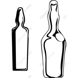 Elegant Bottle Set