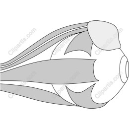 Abstract Stylized Object